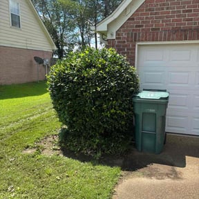 Bush Trimming by Alexander Landscaping reviewed on July 2, 2022