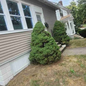 Bush Trimming by Crowder&#039;s lawn care reviewed on July 8, 2020