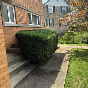 Bush Trimming by Signature Lawn Care LLC. reviewed on April 11, 2022