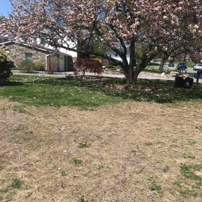 Cleanups by GarcÃa-G lawn care service LLC reviewed on August 5, 2022