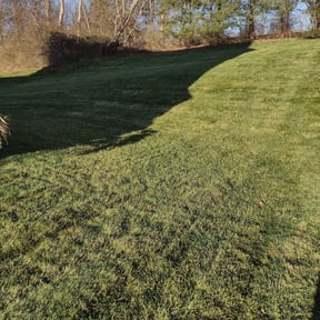 Leaf Removal by Willie's Mobile Lawn Services reviewed on January 24, 2022