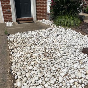 Weeding by Treeple reviewed on July 8, 2023