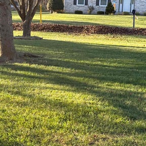 Leaf Removal by Bro’s Company reviewed on June 4, 2022