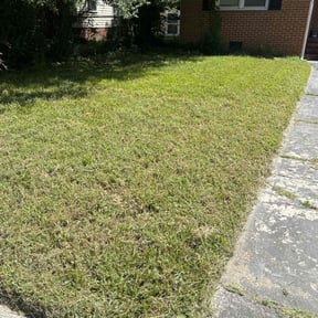 Cleanups by Js Lawn Care reviewed on August 22, 2024