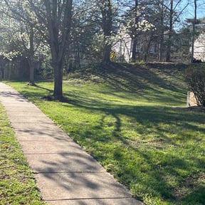 Leaf Removal by FRAMPTON'S LAWN SERVICE reviewed on May 19, 2022