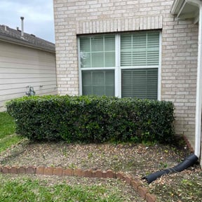 Bush Trimming by Emerald Lawns reviewed on March 5, 2025