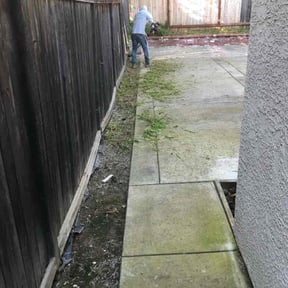 Cleanups by RideWitMe LLC reviewed on August 3, 2022