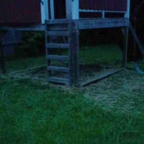 Flower Bed Weeding by Joseph Fullner reviewed on June 8, 2022