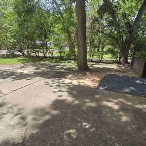 Cleanups by TruGreen LawnCare reviewed on November 15, 2024