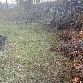 Leaf Removal by Lucky Green lawn Care reviewed on March 24, 2022