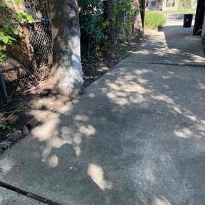 Leaf Removal by LSLTDallas/FortWorthTruGreen reviewed on November 15, 2024