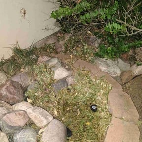 Cleanups by Golden Acres Lawn Care reviewed on March 26, 2022