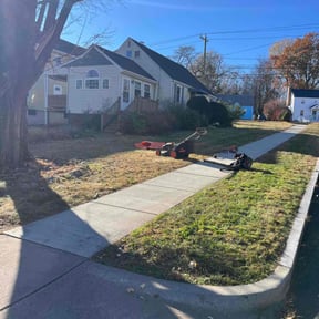 Leaf Removal by BMP reviewed on June 15, 2022