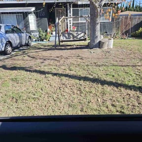 Leaf Removal by Earthpro gardening reviewed on July 20, 2025