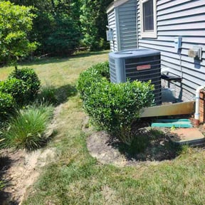 Bush Trimming by Y.A.Y Landscaping reviewed on May 12, 2025