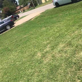 Cleanups by CUT Tulsa Lawn Co. reviewed on March 30, 2025
