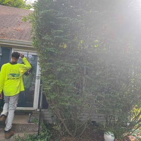 Bush Trimming by Whitt Property Services reviewed on July 25, 2022
