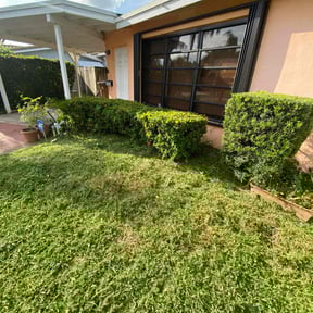 Bush Trimming by The Boot Lawn Care reviewed on October 15, 2020