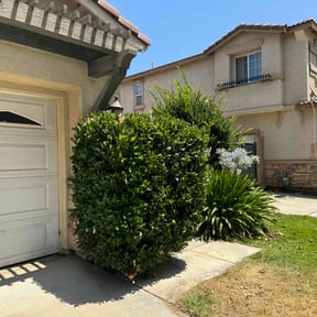 Bush Trimming by Carlos One Stop Landscaping reviewed on May 27, 2025
