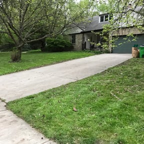 Cleanups by Value Lawn Care reviewed on April 15, 2025