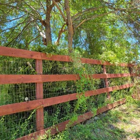 Cleanups by Kelsie's lawn pros reviewed on April 22, 2022