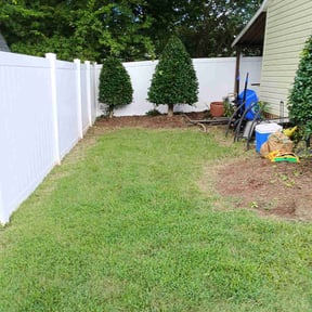 Bush Trimming by Cutting up Lawn and Tree Care reviewed on August 20, 2024