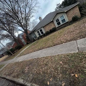 Leaf Removal by Nates Lawn Service reviewed on November 23, 2021