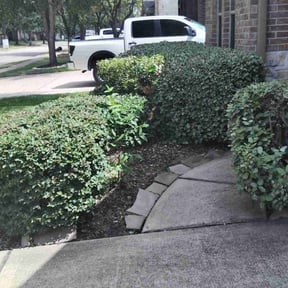 Bush Trimming by Exquisite Enterprises reviewed on April 26, 2022