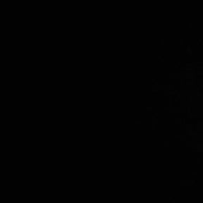 Bush Trimming by Chavez Landscaping reviewed on December 2, 2024