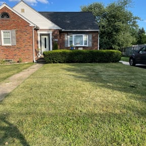 Bush Trimming by BENNETT LINKS SOLUTIONS reviewed on December 8, 2021