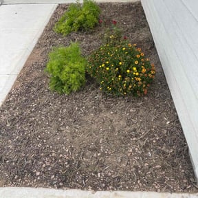 Cleanups by real lawn service reviewed on June 2, 2022