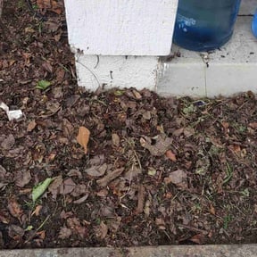 Cleanups by GG Landscaping reviewed on May 29, 2025