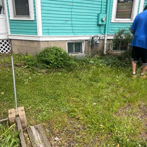 Bush Trimming by Ed&#039;s lawn barber reviewed on September 30, 2024