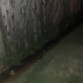 Mulching by Reimagine lawn service reviewed on April 23, 2025