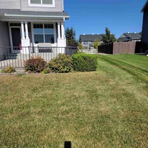Bush Trimming by Dels Mow, Blow, and snow removal reviewed on July 7, 2025