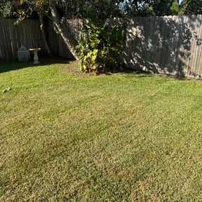 Bush Trimming by National Property Maintenance reviewed on March 10, 2022