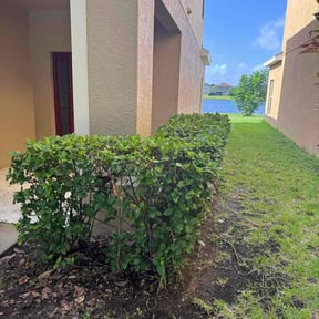 Bush Trimming by All pro lawns and landscaping llc reviewed on October 17, 2022