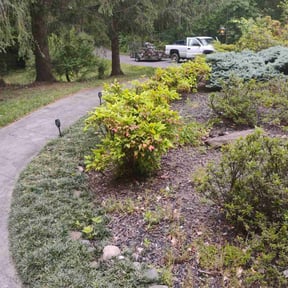 Leaf Removal by A Cut Above Landscaping & Lawn LLC reviewed on July 25, 2022
