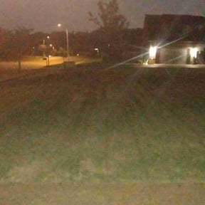 Flower Bed Weeding by Nextdoor Lawn Services LLC reviewed on June 22, 2022