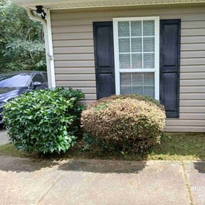 Bush Trimming by HPS Lawn Care reviewed on April 2, 2025
