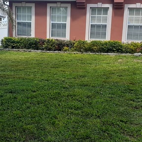 Bush Trimming by Get Her Done Lawn Service reviewed on June 27, 2022