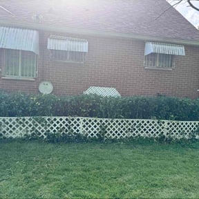 Bush Trimming by ASB & SONS YARD MAINTENANCE reviewed on May 5, 2023