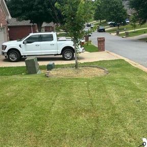 Cleanups by Everblades Lawns reviewed on May 17, 2025