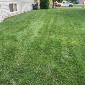 Cleanups by Silva lawn care reviewed on November 20, 2024
