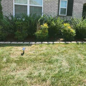 Flower Bed Weeding by Haines Lawn Care reviewed on June 27, 2025
