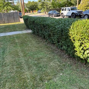 Bush Trimming by RL Landscapes reviewed on November 23, 2021