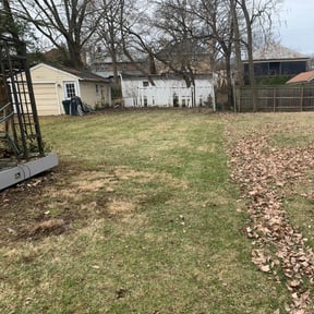 Leaf Removal by TruGreen LawnCare reviewed on June 11, 2025