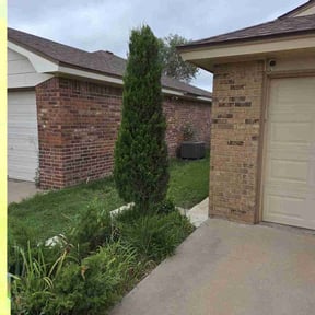 Bush Trimming by Beardall's Lawn Care reviewed on August 7, 2021