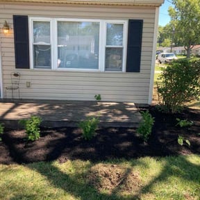 Bush Trimming by Shield Hygienic Services llc reviewed on May 25, 2022