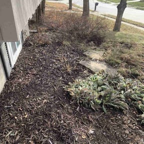 Leaf Removal by Thom's mowing and lawn care reviewed on July 31, 2022